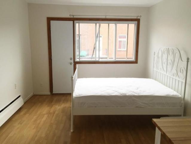 1 1/2 Montréal Le Plateau Mont Royal 1 250 $/mois