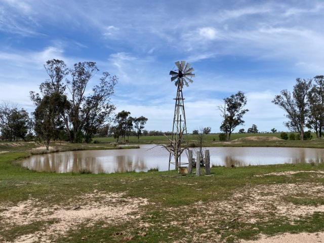 1,350 ACRES | 650 ACRES ARABLE | 24 RAINFALL | MIXED FARMING | GRAZING