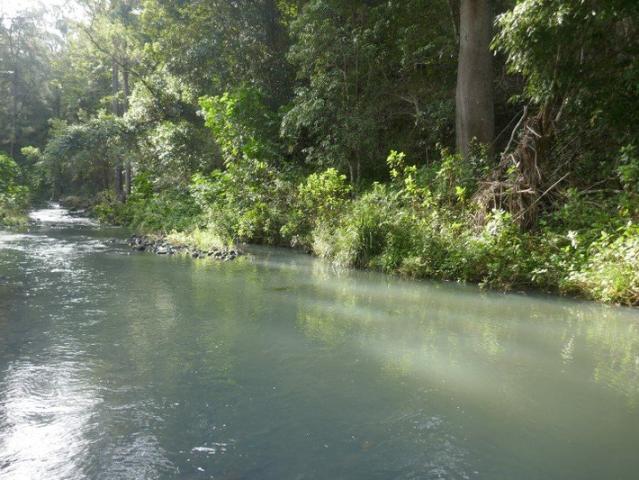 1.4 KM'S OF PRISTINE CREEK FRONTAGE