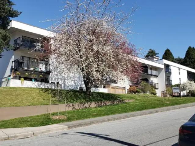 1.5 Bedroom Apartment New Westminster BC 103410568