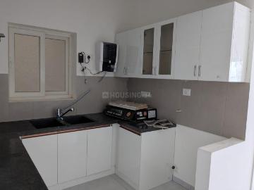 1.5 BHK Apartment in Gummanahalli for rent Bengaluru. The reference number is 20528553