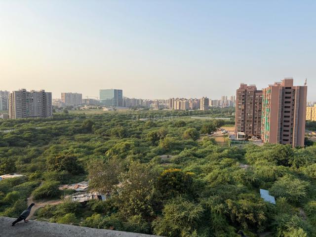 1.5 BHK Apartment in Jagatpur for rent Ahmedabad. The reference number is 21313324