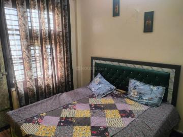1.5 BHK Independent Builder Floor in Sector 14 for rent Bahadurgarh. The reference number is 19908860