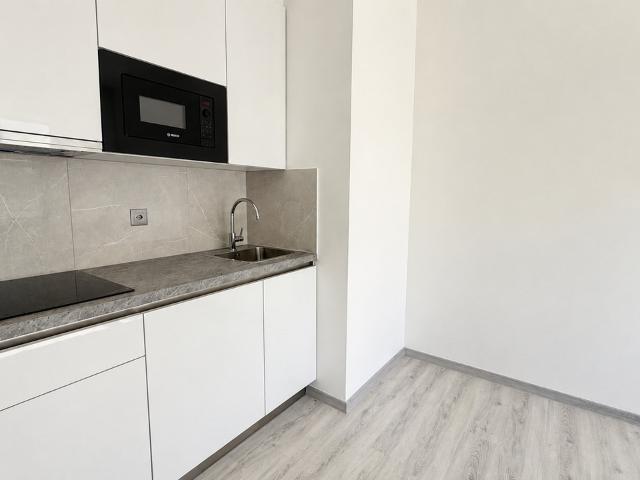 BIS ZU 3 MONATE KOSTENLOS – 1.5 modernisiertes und renoviertes Lokal in Lugano