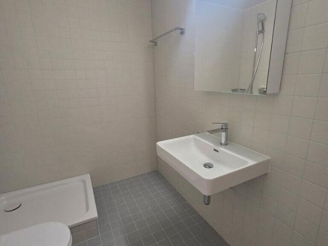 1.5 room apartment for rent