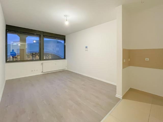 1,5 Zimmer – Aufzug – zentrale Lage