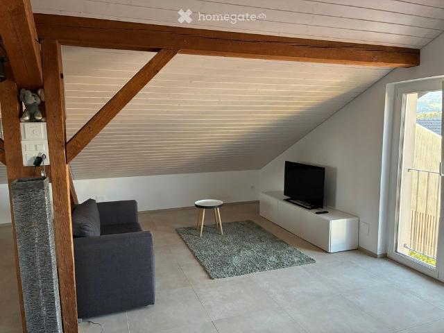 1.5 Zimmer Dach Loft mit Charakter und Weitblick in Horn