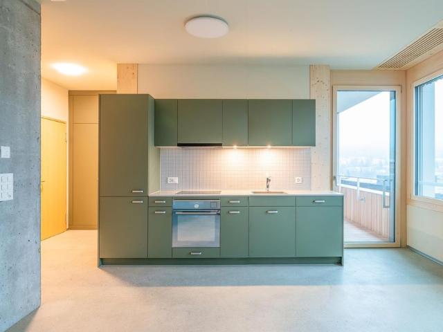 1.5 Zimmer Studio Wohung in Olten