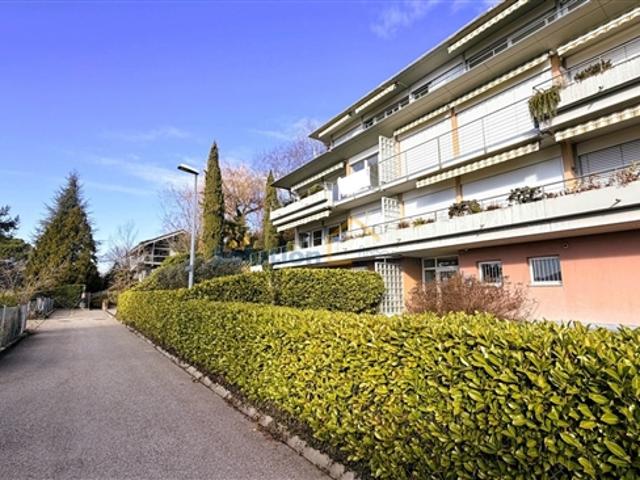 1,5 Zimmer Wohnung mit großem Garten und Terrasse