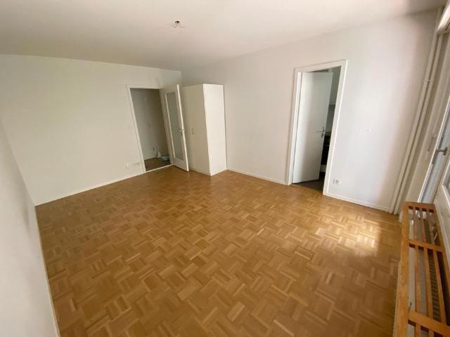 1.5 Zimmer Wohnung im Weissenbühl