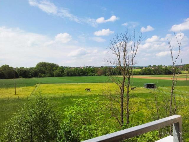 1,5 Zimmer Wohnung mit schönem Ausblick ins Grüne