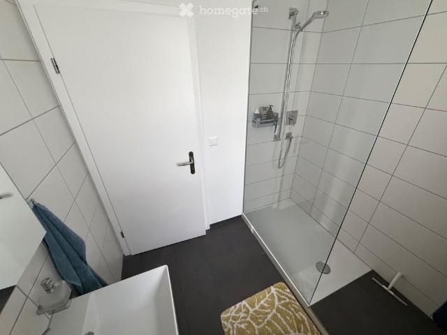 1.5 Zimmer, 110 m²