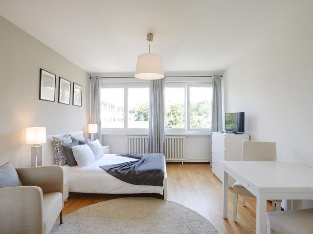 1.5 Zimmer, 24 m²