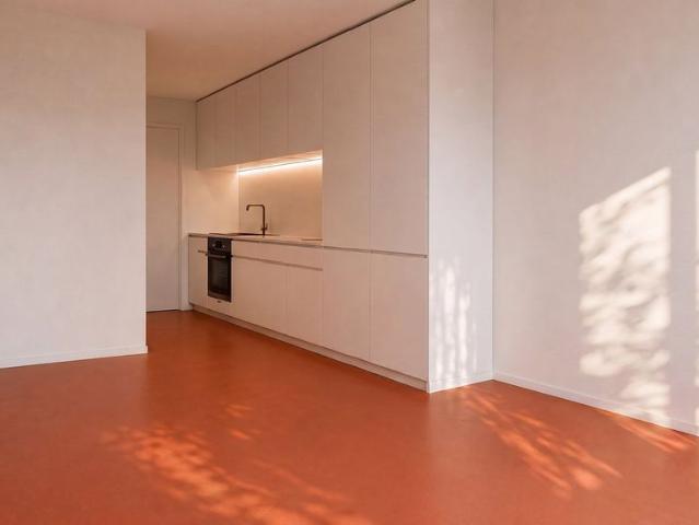 1.5 Zimmer, 24 m², EG