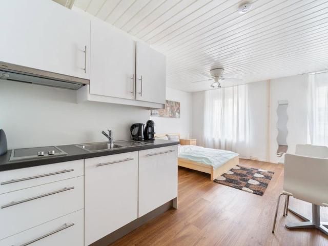 1.5 Zimmer, 25 m²