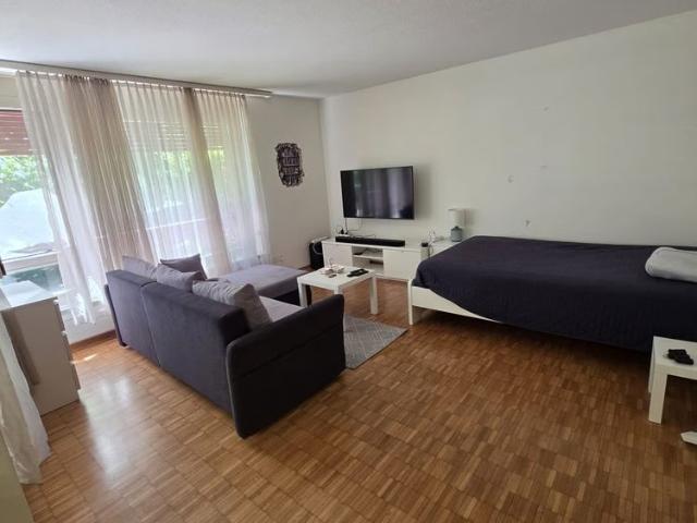 1.5 Zimmer, 25 m², EG