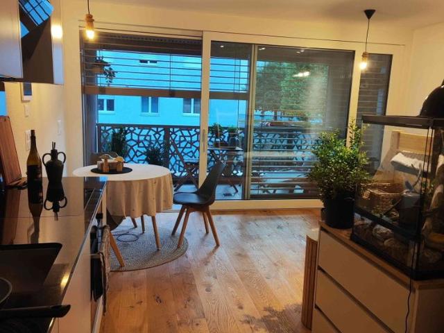 1.5 Zimmer, 26 m², EG