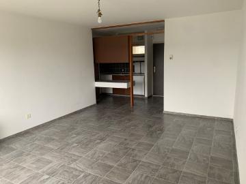 1.5 Zimmer, 28 m², EG