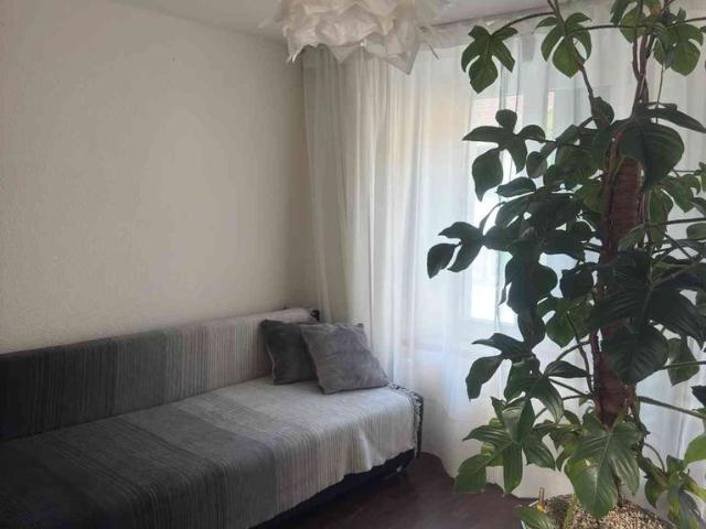 1.5 Zimmer, 28 m², EG