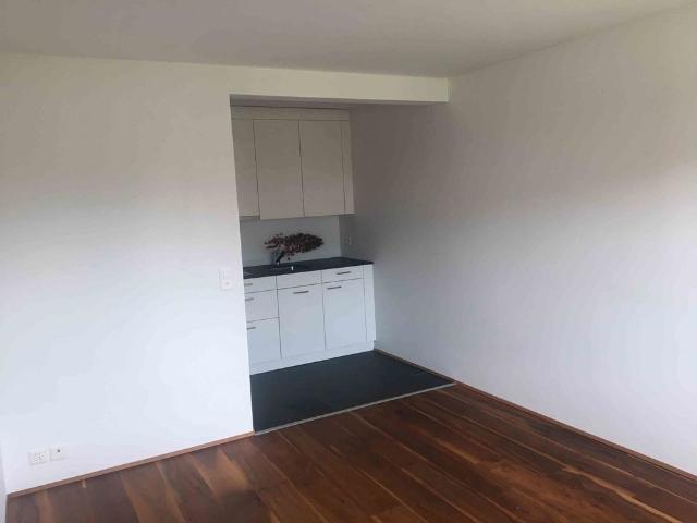 1.5 Zimmer, 20 m², 1. Stock