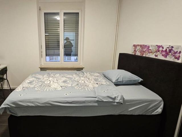1.5 Zimmer, 20 m²