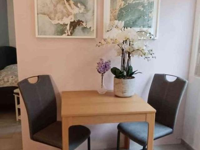1.5 Zimmer, 21 m², EG