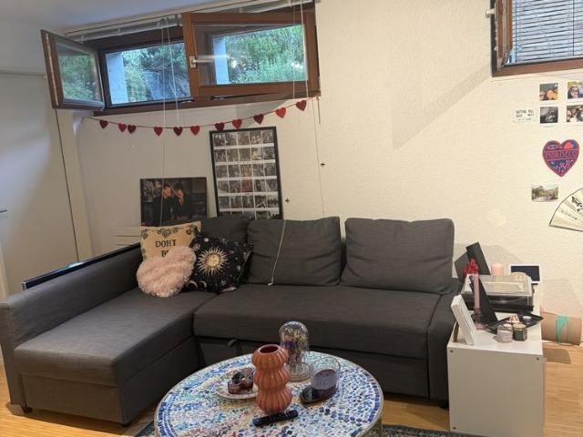 1.5 Zimmer, 22 m², Untergeschoss