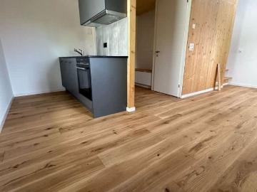 Wohnung mieten in Alte Strasse, Reinach - Heizung
