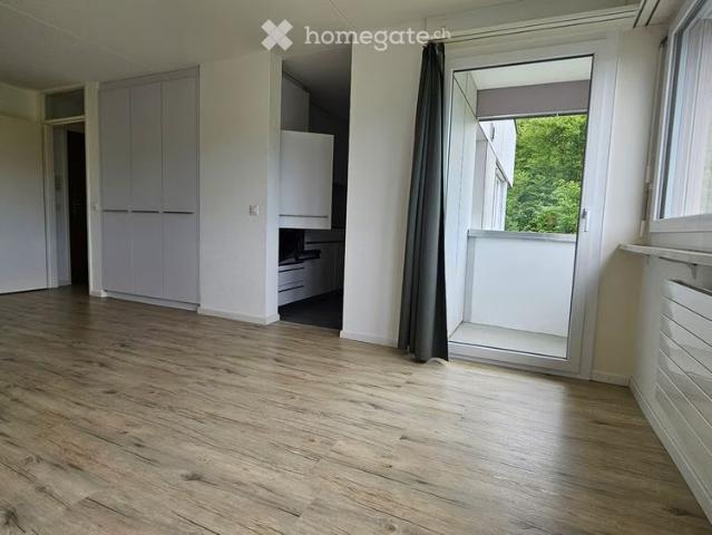 1.5 Zimmer, 34 m²