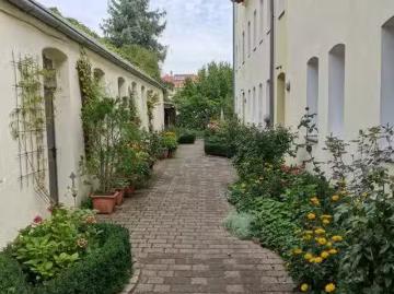 1,5 Zimmer 36 m² 500 € Kaltmiete Wohnungen in Erlangen