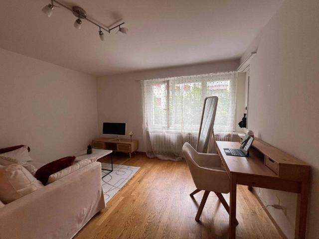 1.5 Zimmer, 36 m², EG