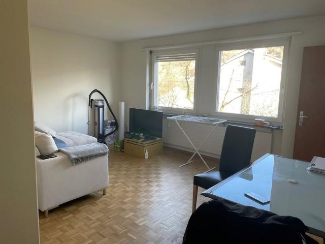 1.5 Zimmer, 37 m², EG