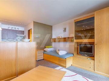 1.5 Zimmer, 30 m², 3. Stock