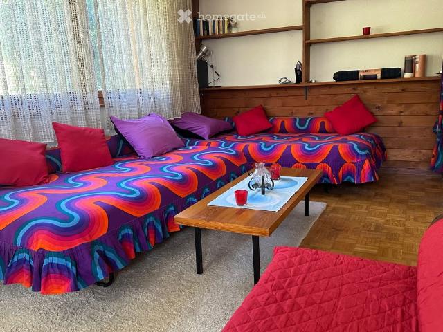 1.5 Zimmer, 30 m²