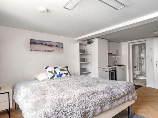 1.5 Zimmer, 40 m²