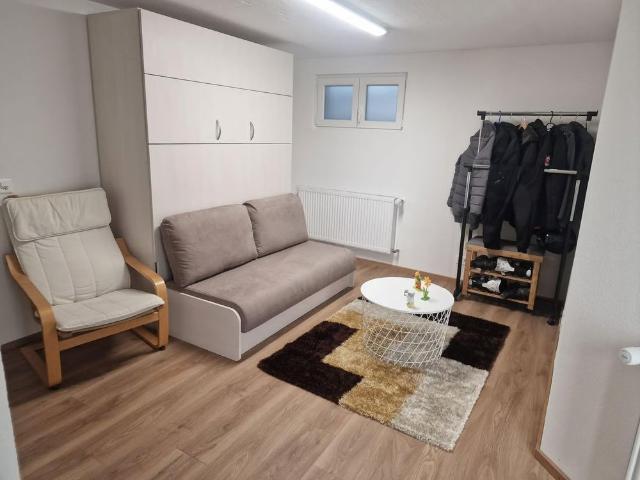 1.5 Zimmer, 30 m², EG