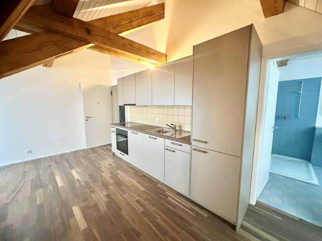 1.5 Zimmer, 45 m², 3. Stock