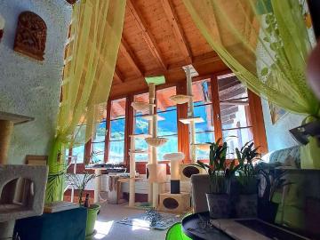 1.5 Zimmer, 45 m², 2. Stock