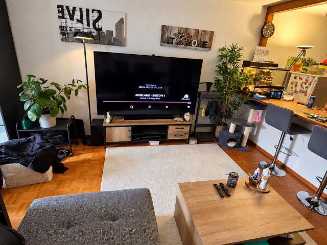 1.5 Zimmer, 45 m²