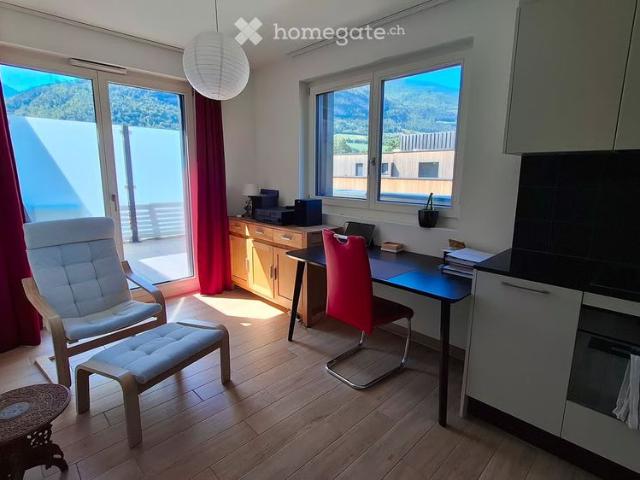 1.5 Zimmer, 45 m²