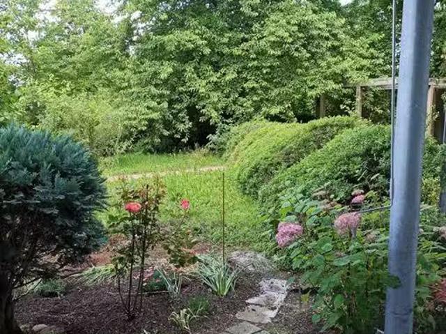 1,5 Zimmer 45 m² 720 € Kaltmiete Wohnungen in Karlsruhe