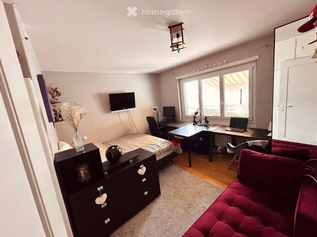 1.5 Zimmer, 45 m²