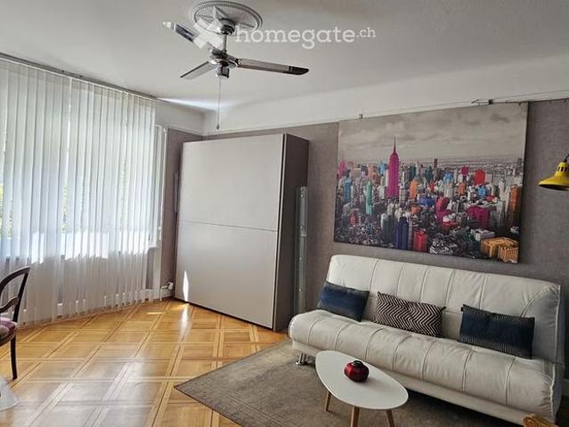 1.5 Zimmer, 45 m²