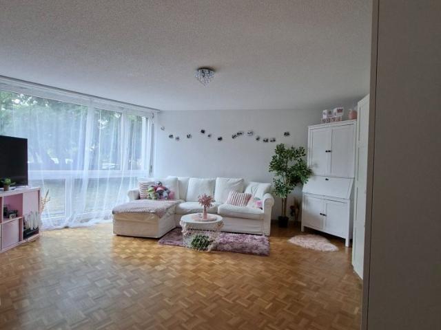 1.5 Zimmer, 40 m²