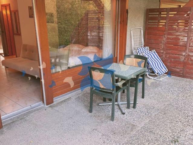 1.5 Zimmer, 40 m²