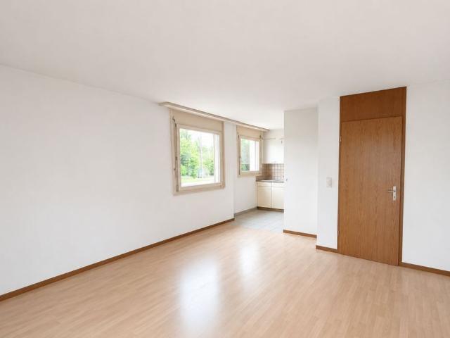 1.5 Zimmer, 40 m²