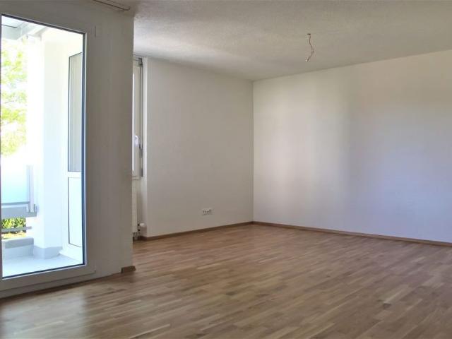 1.5 Zimmer, 40 m²