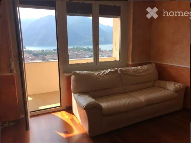 1.5 Zimmer, 40 m²