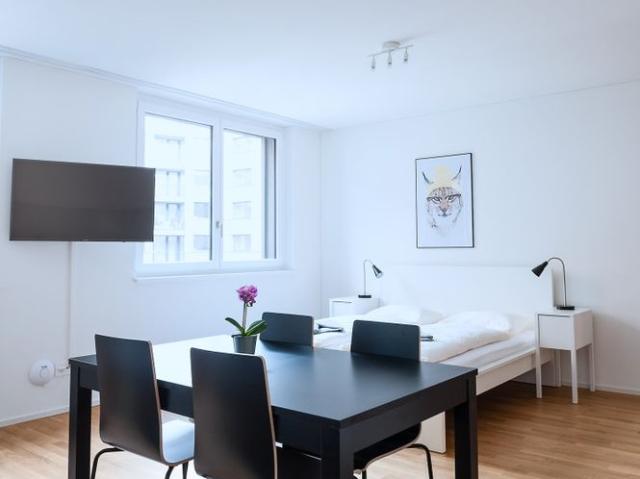 1.5 Zimmer, 42 m²