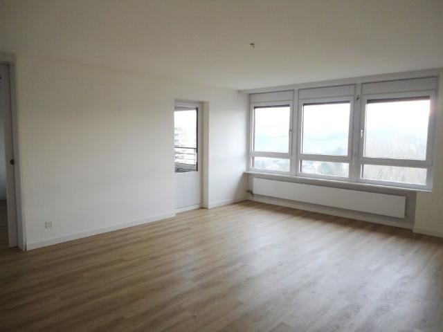 1.5 Zimmer, 54 m², 11. Stock
